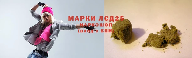 ПСИЛОЦИБИНОВЫЕ ГРИБЫ Алексеевка
