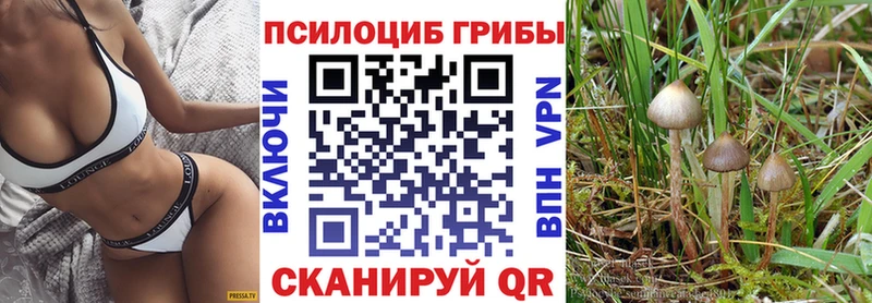 цена наркотик  Лукоянов  Псилоцибиновые грибы мухоморы 